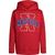 Nautica | Little Boys Old School Solid Pull Over Hoodie, 颜色Carmine