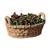 商品第3个颜色Khaki, Campania International | Provencal Basket Planter