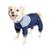颜色: Blue, Dog Helios | 'Tail Runner' Lightweight Full Body Performance Dog Track Suit