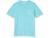 color Turquoise, Vineyard Vines | Garment Dyed Vintage Whale Tee (Toddler/Little Kids/Big Kids)