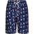 Nautica | Nautica Little Boys' Flag Print Swim Short (4-7), 颜色nrf caspian blue