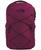 颜色: Boysenberry, The North Face | Men's Jester Backpack