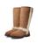 颜色: Chestnut, UGG | Sunburst Tall