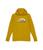 商品The North Face | Camp Fleece Pullover Hoodie (Little Kids/Big Kids)颜色Mineral Gold