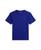 颜色: Classic Azure, Ralph Lauren | Big Boys Cotton Jersey Crewneck Tee