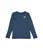 商品The North Face | Heritage Patch Crew (Little Kids/Big Kids)颜色Shady Blue Heather