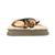 颜色: Brown, Macy's | Arlee Pillow Topper Rectangle Pet Dog Bed