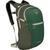 颜色: Green Canopy/Green Creek, Osprey | Daylite Plus 20L Backpack