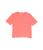color Neon Coral, Vineyard Vines | Garment Dyed Vintage Whale Tee (Toddler/Little Kids/Big Kids)