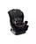 颜色: Stone Onyx, Britax | Poplar S Baby Boy or Baby Girl Convertible Car Seat