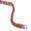 颜色: Chaar, CTZN COSMETICS | Lipstroke Waterproof Lip Liner
