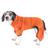 颜色: orange, Pet Life | Pet Life  Active 'Pawsterity' Mediumweight 4-Way-Stretch Yoga Fitness Dog Tracksuit Hoodie