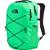 The North Face | Jester 27.5L Backpack, 颜色Chlorophyll Green/TNF Black
