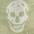 商品Alexander McQueen | Skull 104x120 骷髅围巾颜色kaki/ivory