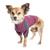 颜色: Purple, Dog Helios | 'Eboneflow' Flexible and Breathable Performance Dog Yoga T-Shirt