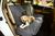 颜色: navy blue and white stripe, Pet Life | 'Open Road' Full Back Seat Safety Child Pet Cat Dog Car Seat Carseat Cover Protector