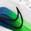 颜色: White/ Black/ Star Blue/ Green, NIKE | Downshifter 13 Running Shoe - Multiple Widths Available