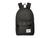 color Black Crosshatch/Black Rubber, Herschel Supply | 背包