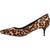 color Natural Leopard, Kenneth Cole | Kenneth Cole New York Womens Morgan Kitten Heels