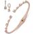 Givenchy | Silver-Tone 2-Pc. Set Stone Station Bangle Bracelet & Matching Drop Earrings, 颜色Dark Pink