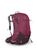 颜色: Elderberry Purple/Chiru Tan, Osprey | Osprey Sirrus 24L Women's Hiking Backpack, Succulent Green