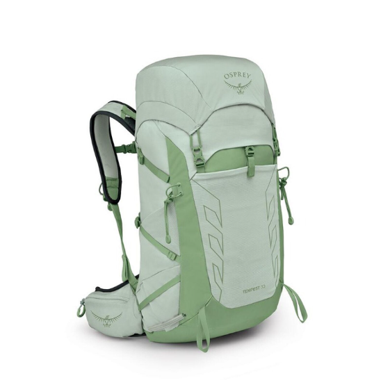 颜色: 薄荷绿, Osprey | 暴风22L/26L Tempest 轻量户外旅行徒步小鹰登山双肩背包女25年新品（香港仓发货）