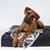 商品第1个颜色Black, Le Dog Company | Leather Dog Bed