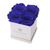 商品第6个颜色Azzure, Eternal Roses | Lennox Small White Gift Box