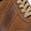 color Cognac, Sandro Moscoloni | 6 Eyelet Perforated Sneaker