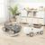 颜色: dark gray, Hivvago | Convertible Rocking Horse and Sliding Car with Detachable Balance Board-Dark Gray