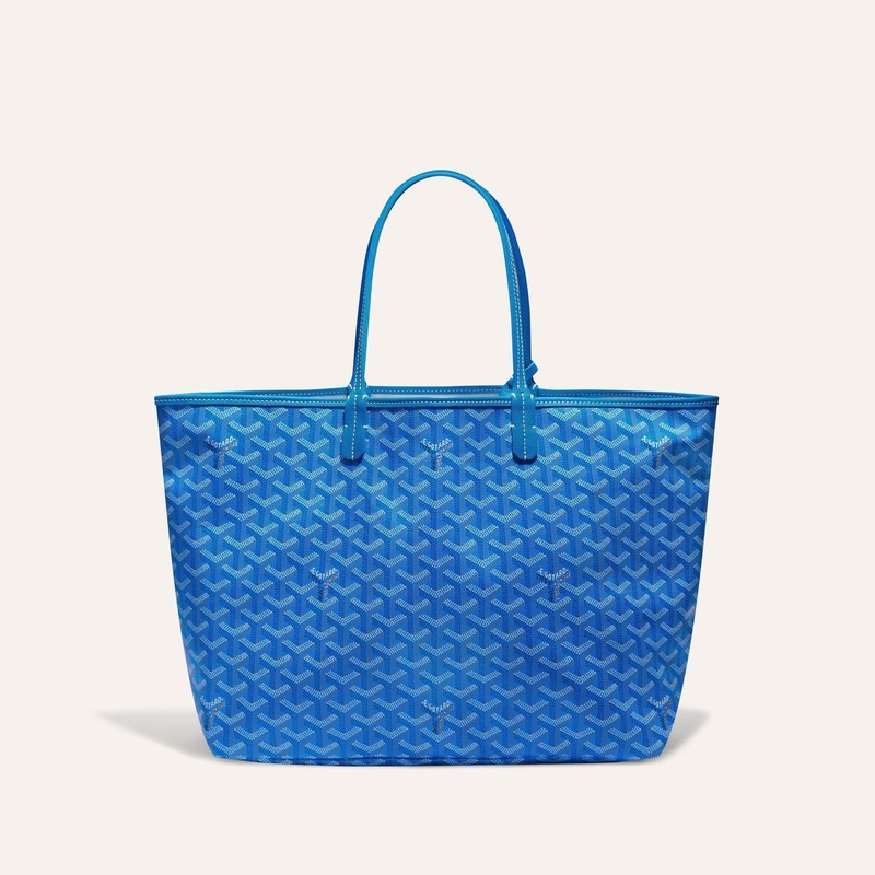 颜色: 天蓝色, Goyard | 高雅德 Saint Louis PM男女黑色帆布/小牛皮手提包 STLOUIPMLTY01CL03P（十色可选）