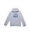 color Mod Gray, Under Armour | MT Logo Hoodie (Big Kids)