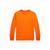 商品第1个颜色Resort Orange, Ralph Lauren | Big Boys Cotton Jersey Long-Sleeve T-shirt
