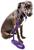 颜色: purple, Pet Life | Pet Life  'Aero Mesh' 2-In-1 Breathable and Adjustable Dual-Sided Mesh Dog Leash and Collar
