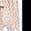 商品Jessica Simpson | Two Piece Jogger Set颜色Pink Leopard