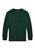 商品第3个颜色COLLEGE GREEN, Ralph Lauren | Boys 8-20 Cotton Jersey Long-Sleeve T-Shirt