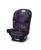 颜色: Katrina/Purple, Graco | SlimFit3 LX 3-in-1 Car Seat