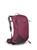 Osprey | Osprey Sirrus 24 Women's Hiking Backpack - Prior Season, 颜色Elderberry Purple/Chiru Tan