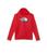 The North Face | Camp Fleece Pullover Hoodie (Little Kids/Big Kids), 颜色TNF Red