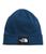 The North Face | Dock Worker Recycled Beanie, 颜色Shady Blue
