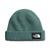 The North Face | Men's Salty Lined Beanie, 颜色Dark Sage