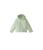 The North Face | Reversible Shady Glade Hooded Jacket (Toddler), 颜色Misty Sage