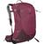 Osprey | Sirrus 24L Backpack - Women's, 颜色Elderberry Purple/Chiru Tan
