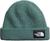 The North Face | The North Face Salty Lined Beanie, 颜色DARK SAGE