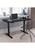商品第1个颜色Black, Emma and Oliver | Emma and Oliver Electric Height Adjustable Standing Desk - 48" Wide x 24" Deep (Black)