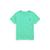 商品第9个颜色Sunset Green 1, Ralph Lauren | Short Sleeve Jersey T-Shirt (Toddler)
