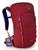 Osprey | Osprey Jet 18 Kid's Hiking Backpack, 颜色Cosmic Red