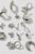 颜色: Silver, Urban Outfitters | Kit Metal Multi Earrings Set