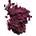 product sku 08 BERRY DAWN img