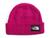 color Fuchsia Pink, The North Face | Salty Dog Beanie